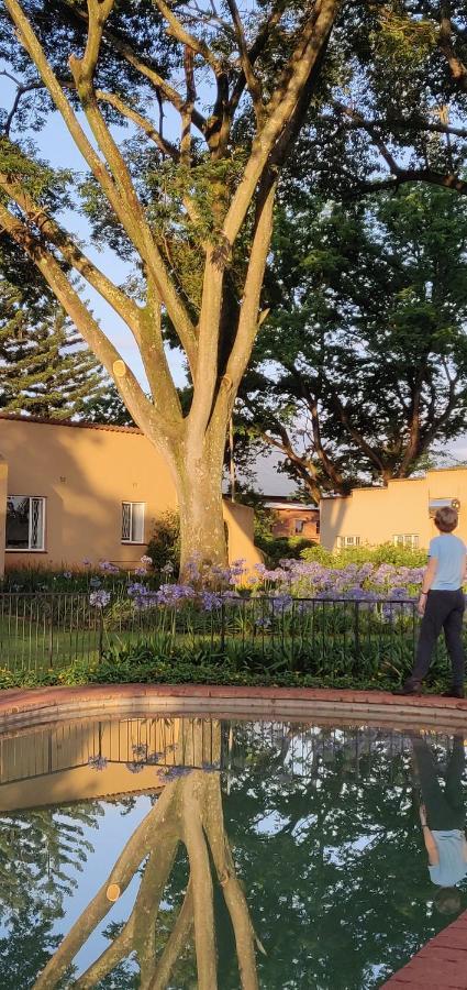 Boschoek Farm Tzaneen Εξωτερικό φωτογραφία